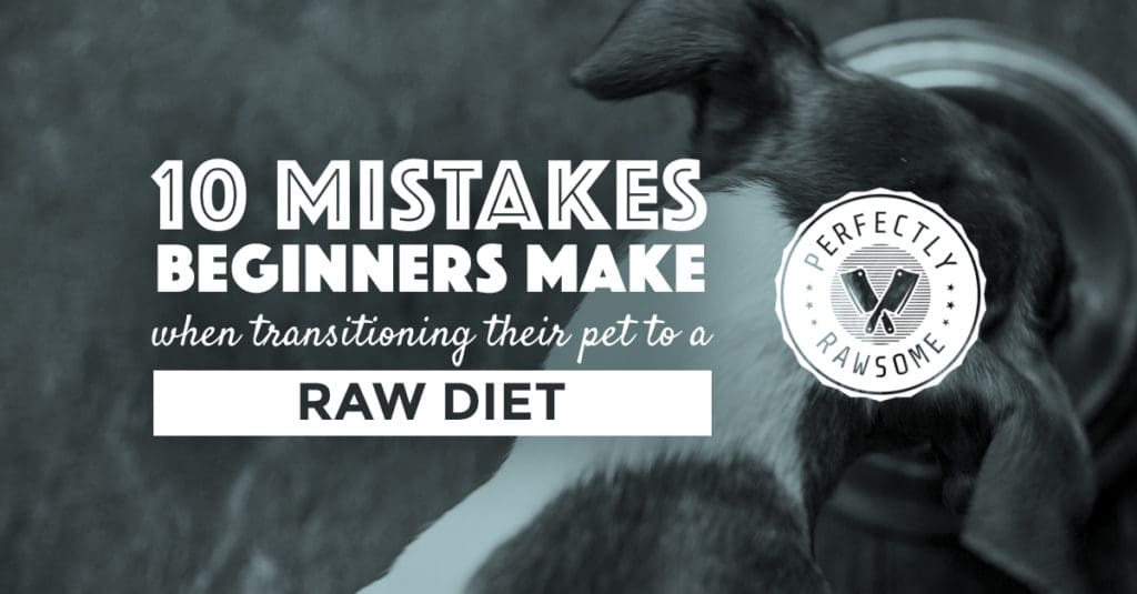 rawfeedingtransition