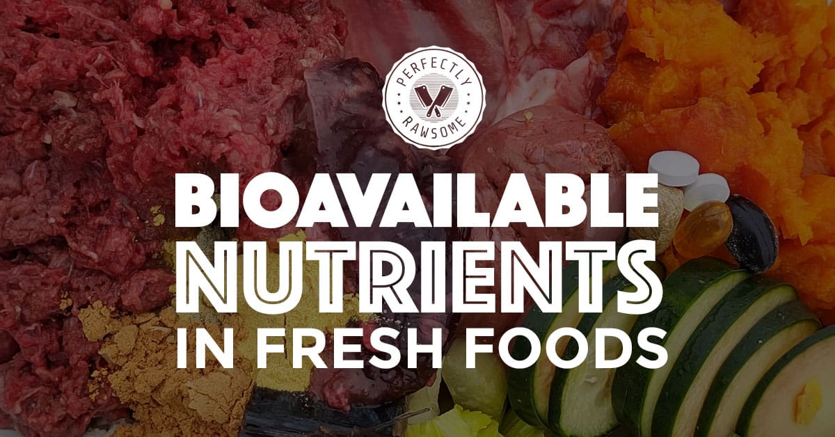 bioavailable-nutrients-title-graphic